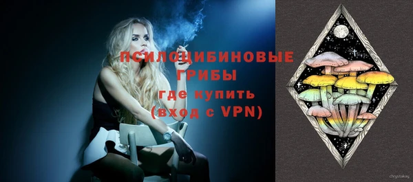 круглые Корсаков