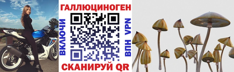 Купить  Невель  Псилоцибиновые грибы мицелий 